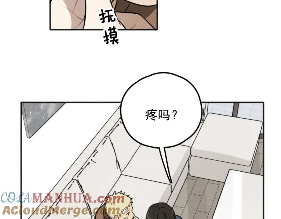 61.jpg
