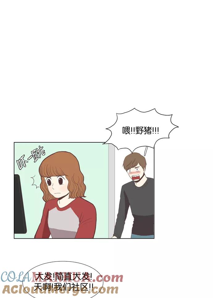 41.jpg