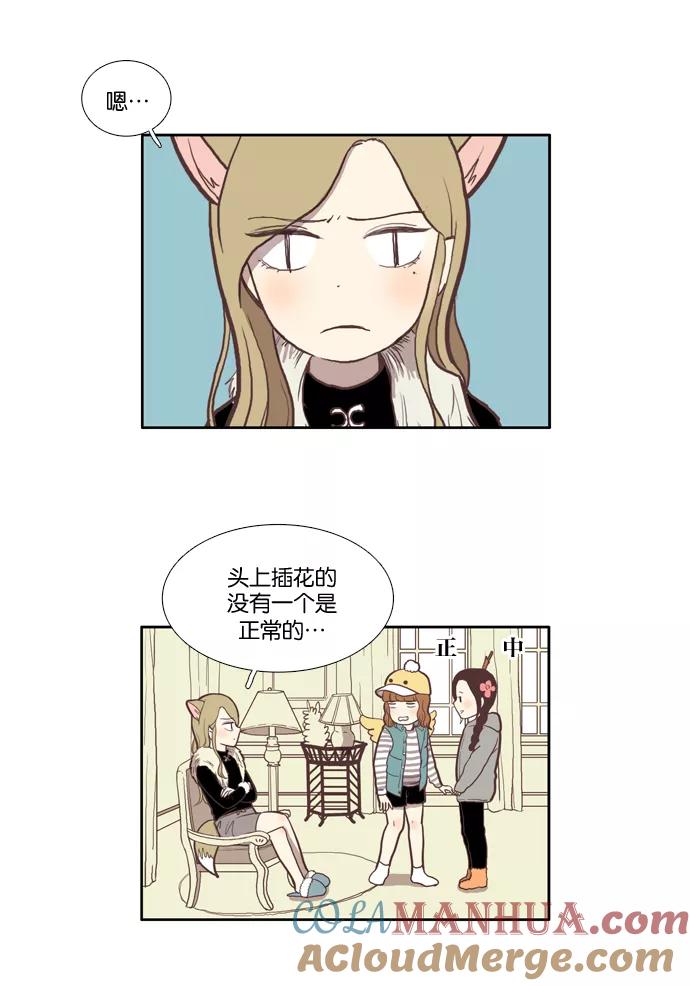 13.jpg