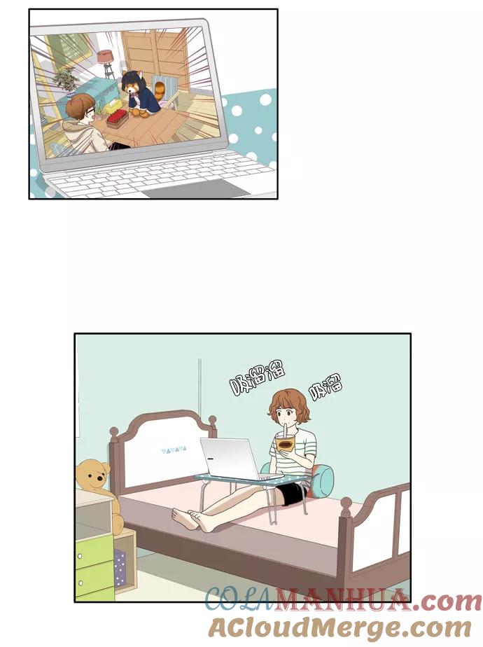 17.jpg