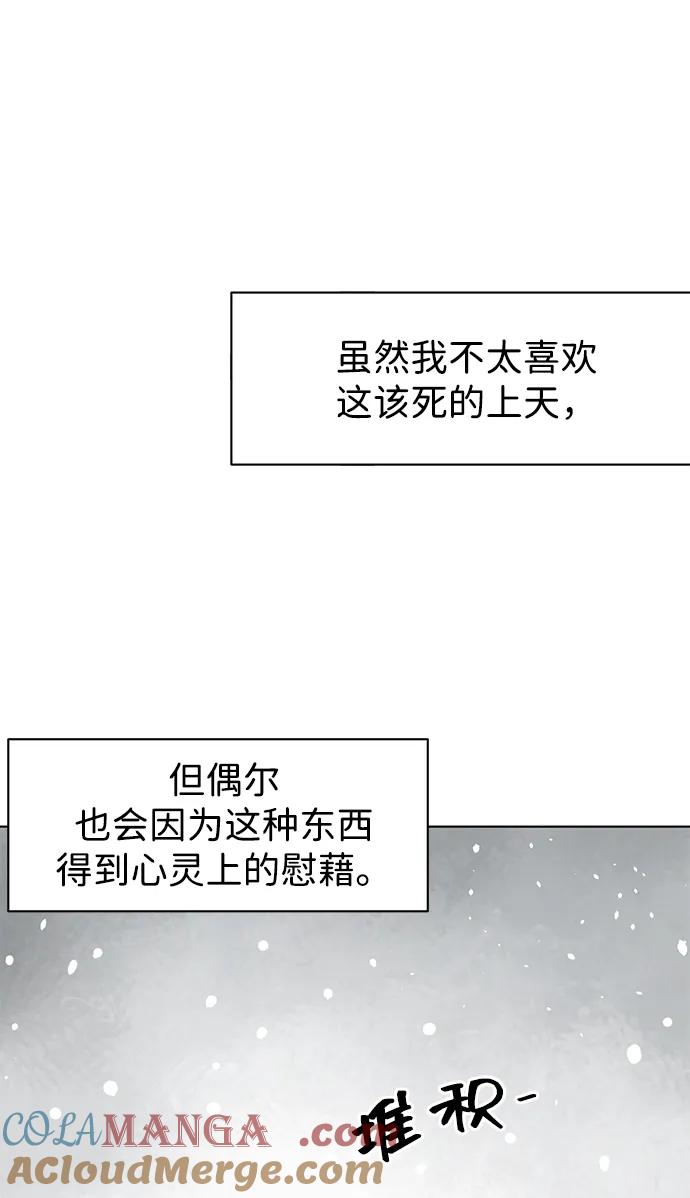 97.jpg