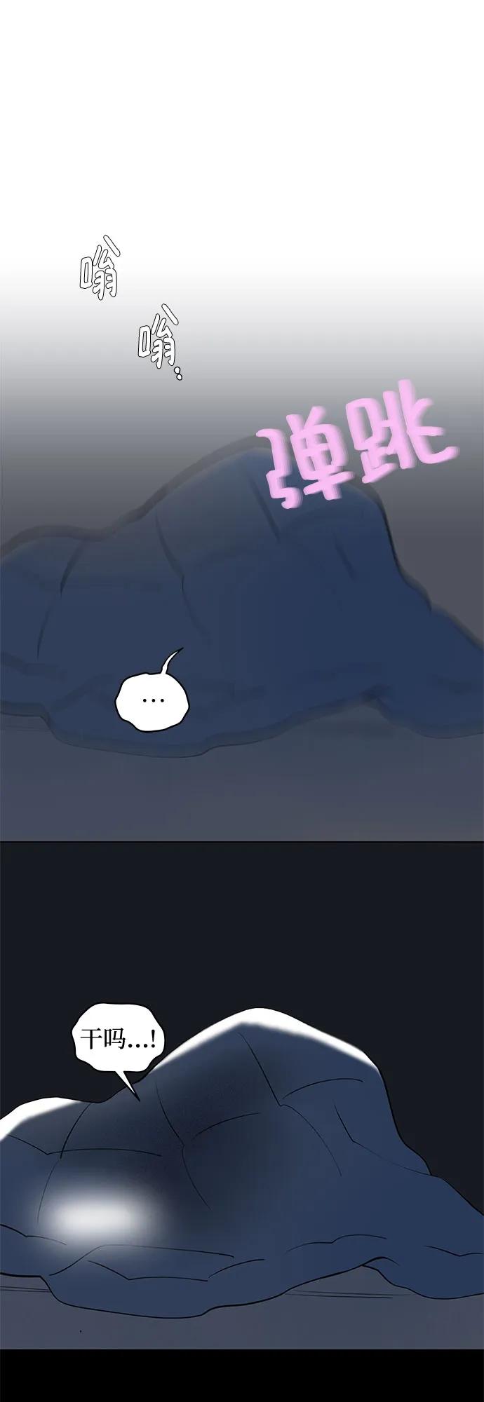 51.jpg