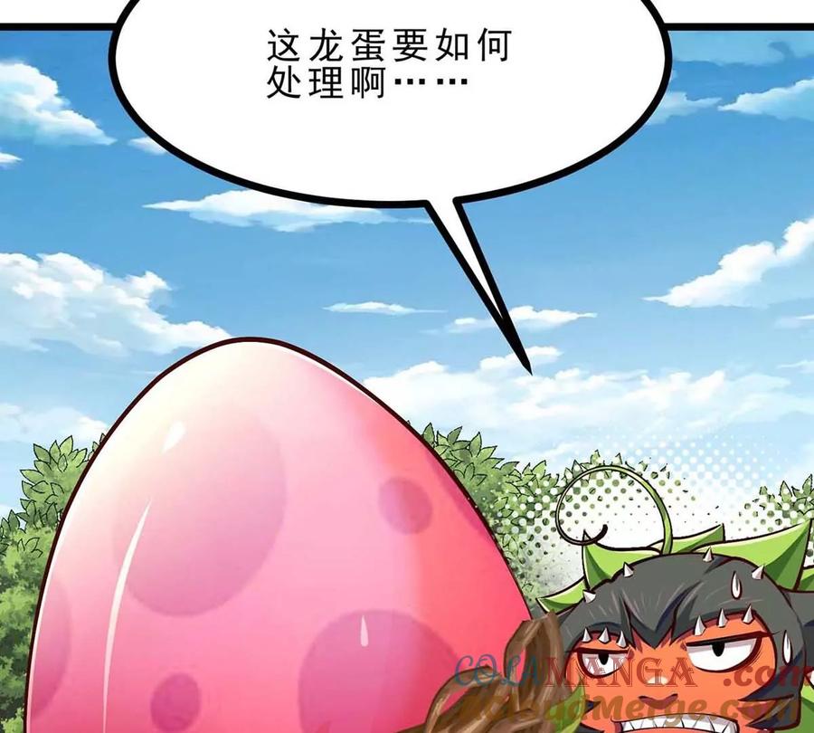 77.jpg