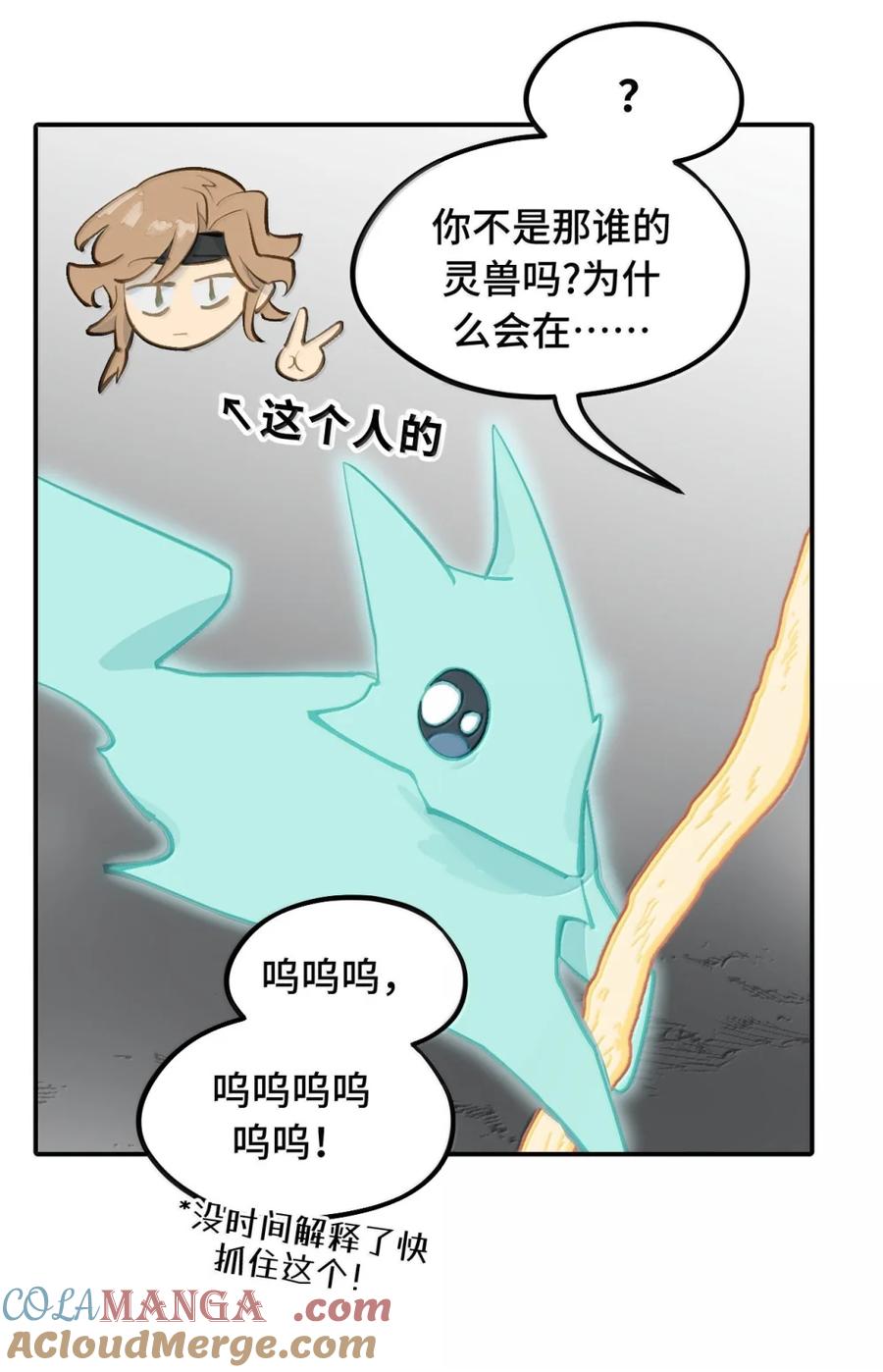 13.jpg