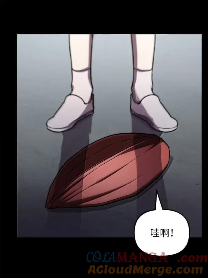 40.jpg