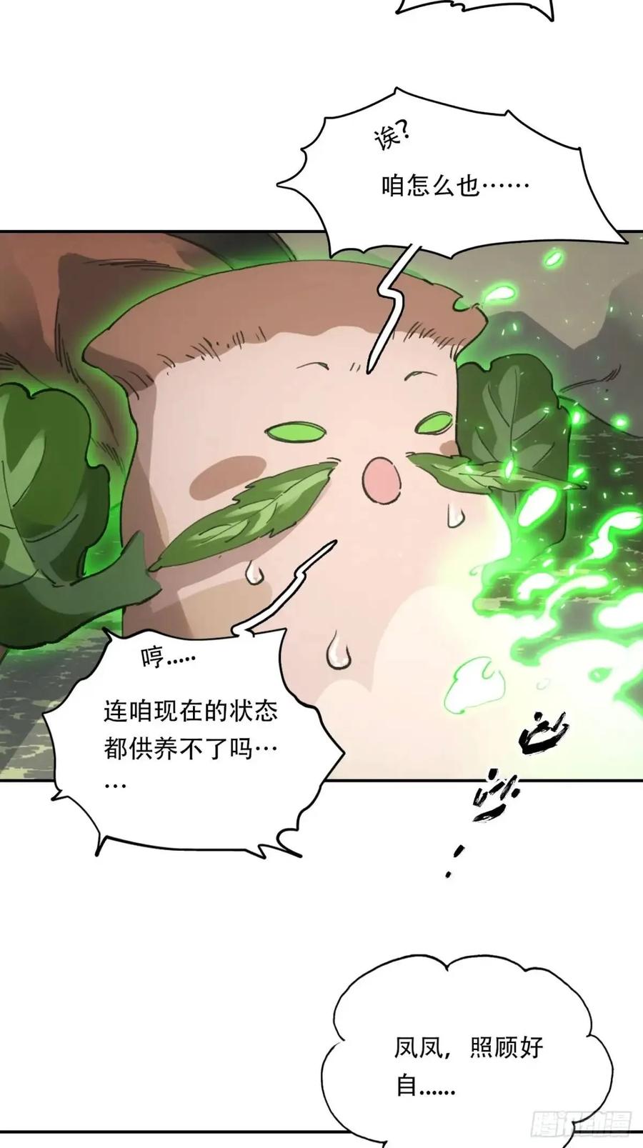 41.jpg