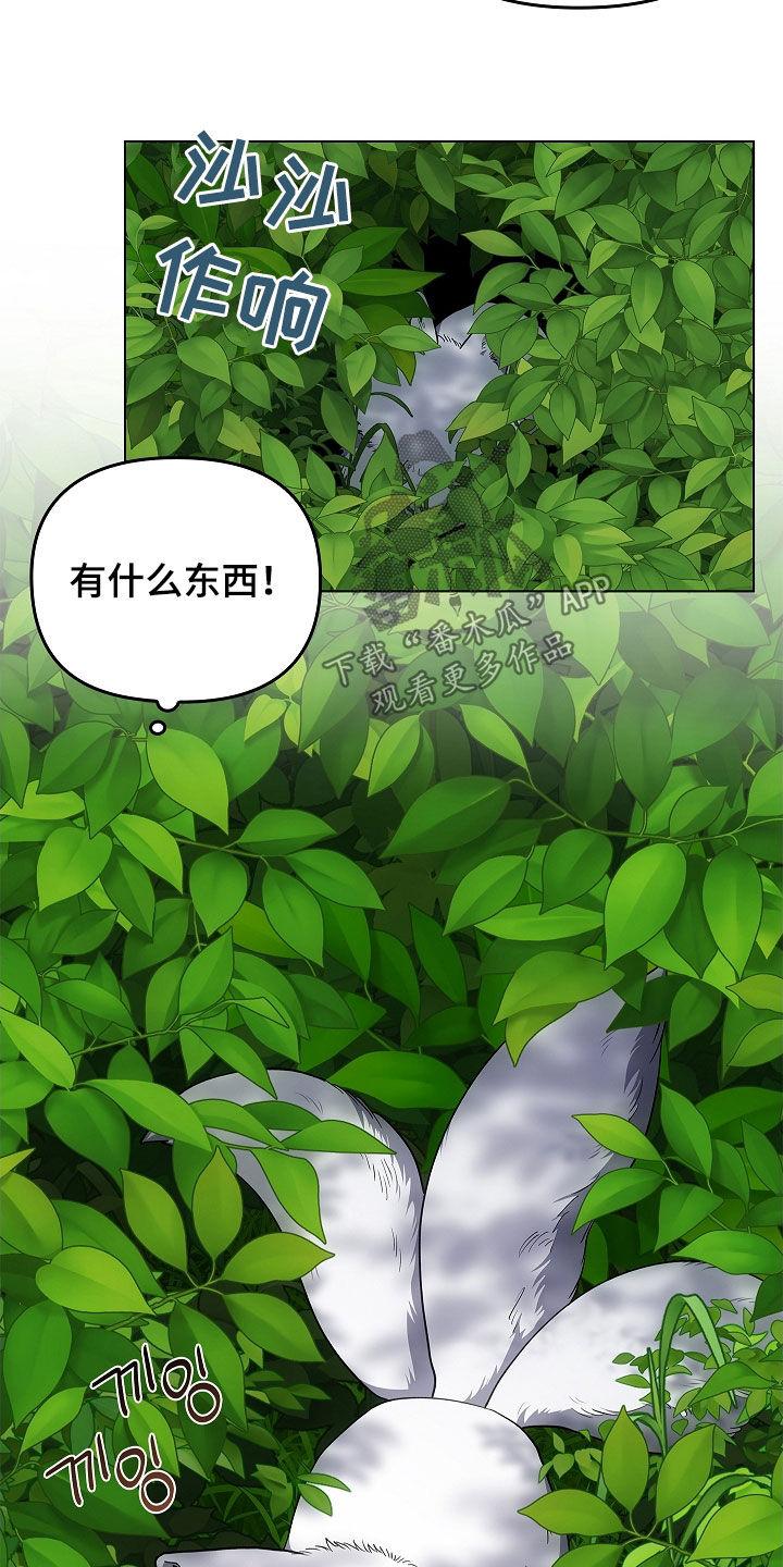 第64章：受伤的狐狸-蓝目鬼眼-wasx（第12张）