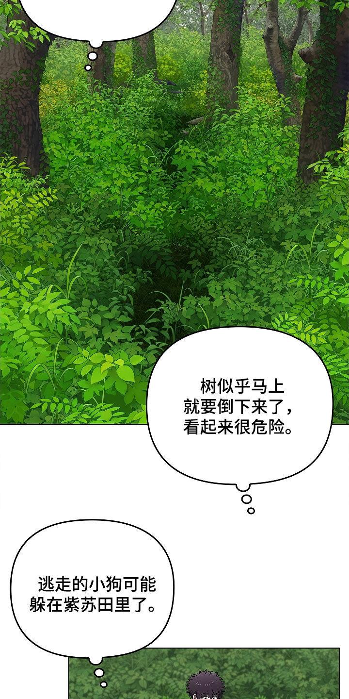 第64章：受伤的狐狸-蓝目鬼眼-wasx（第6张）