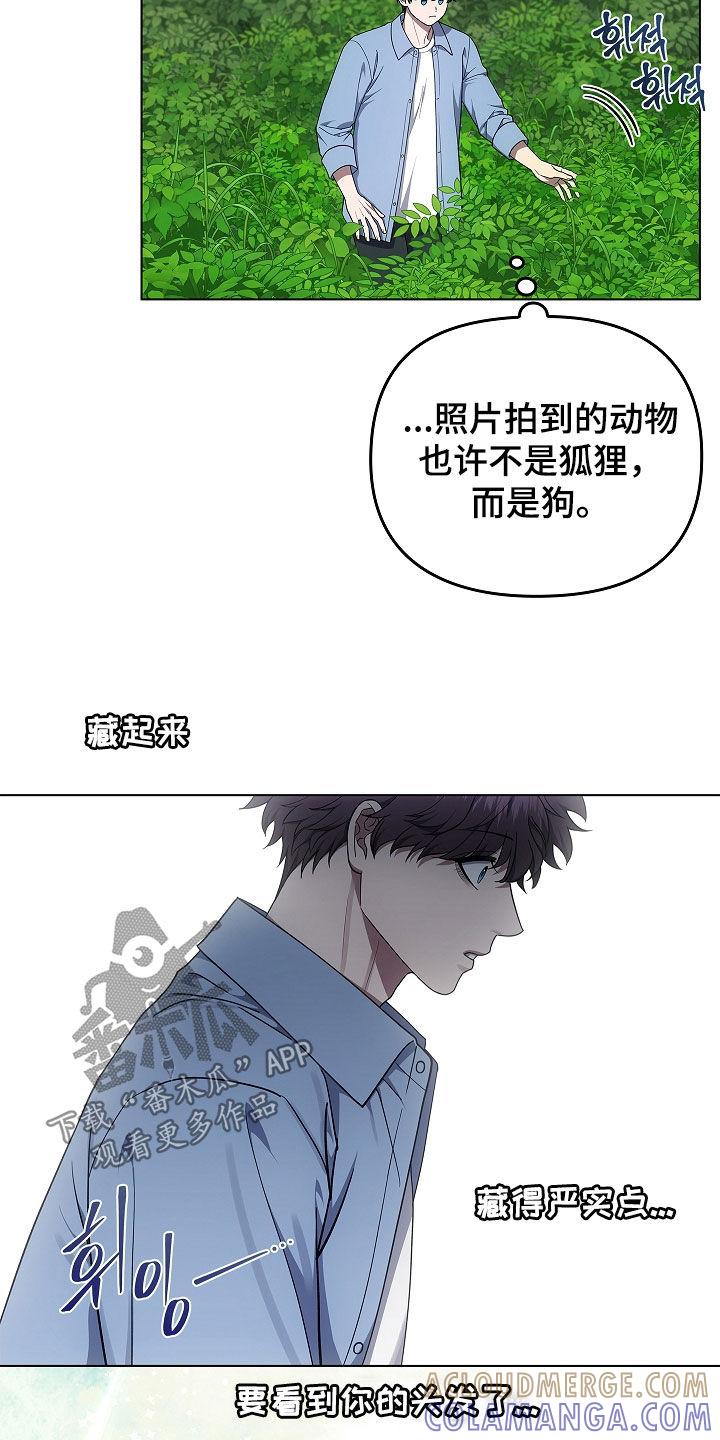 第64章：受伤的狐狸-蓝目鬼眼-wasx（第7张）