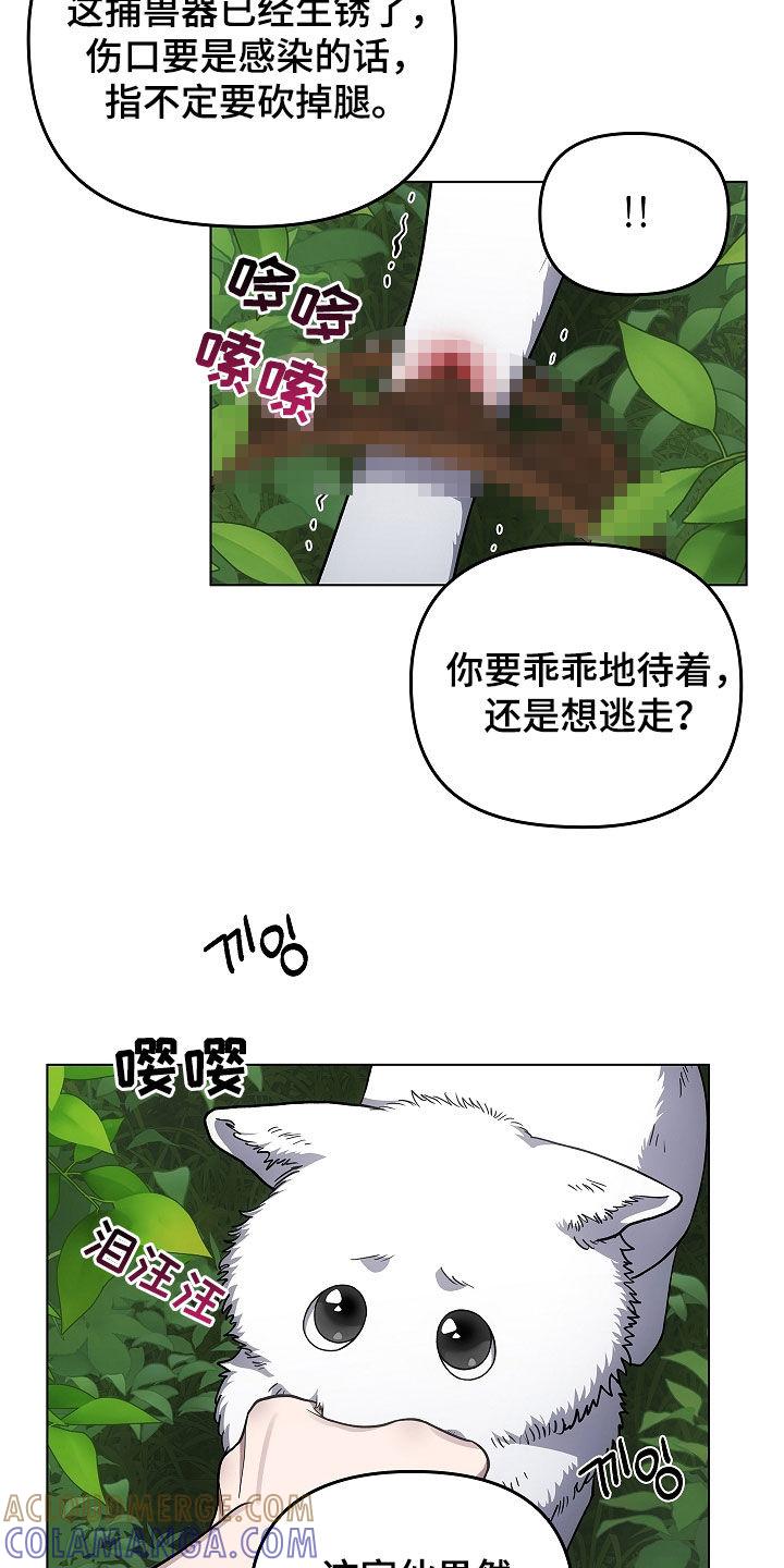 第64章：受伤的狐狸-蓝目鬼眼-wasx（第17张）