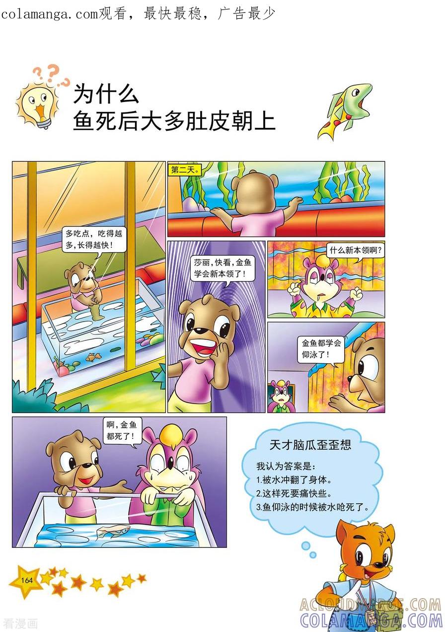 第40话-虹猫蓝兔十万个为什么-虹猫蓝兔（第1张）