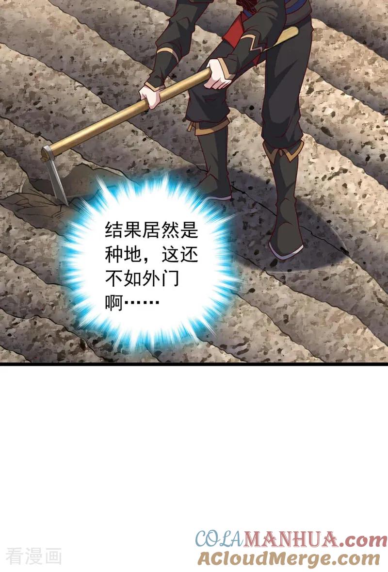 31.jpg