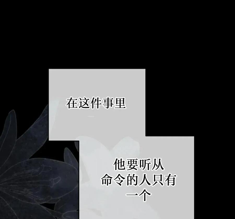 91.jpg