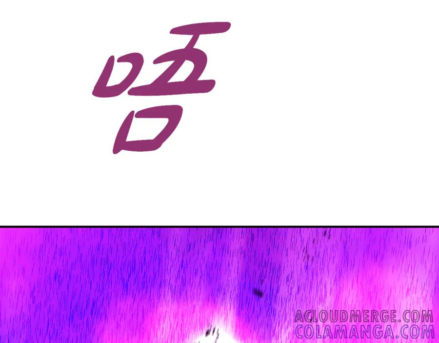 113.jpg