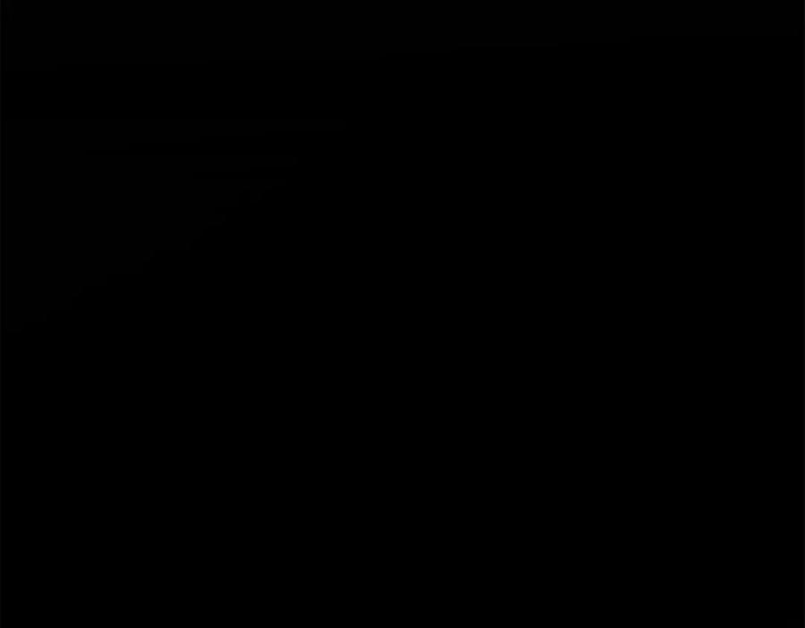 244.jpg