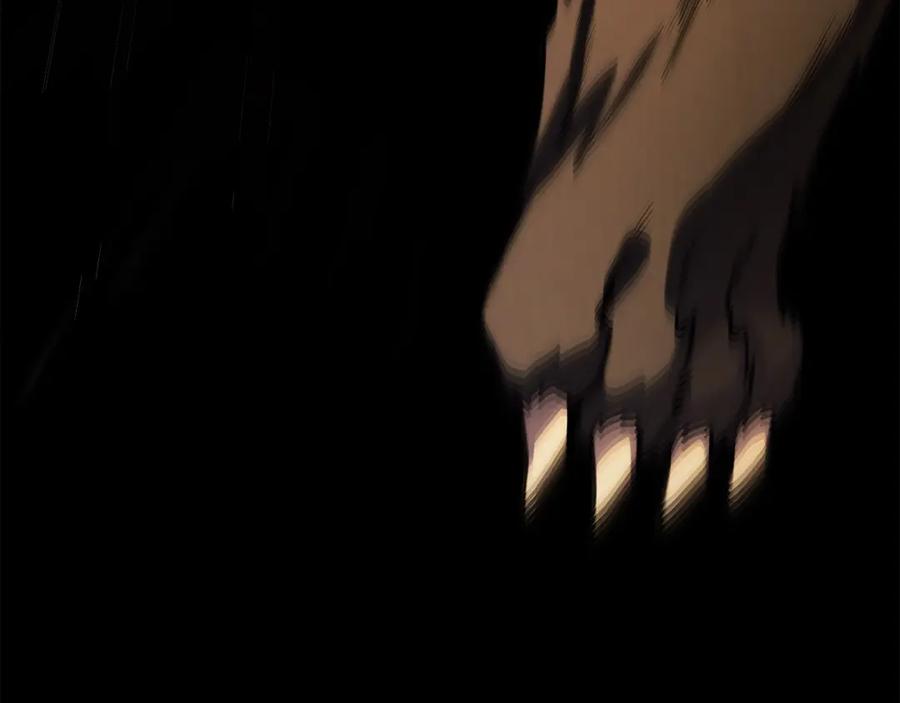 224.jpg