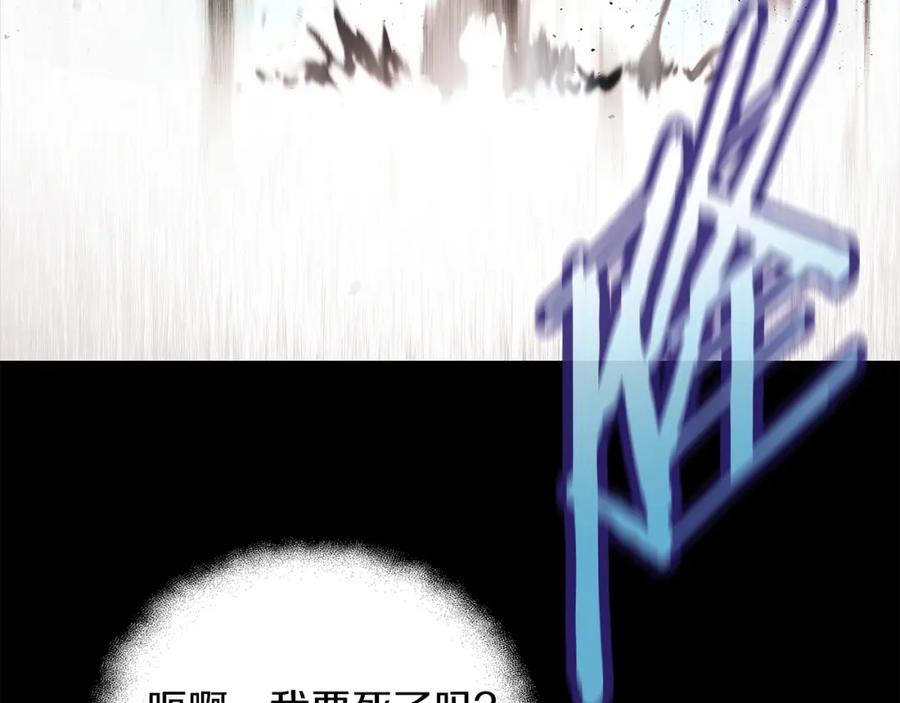 166.jpg