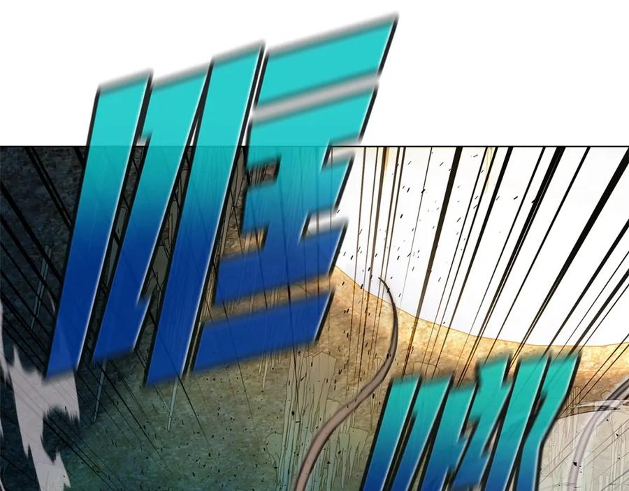 96.jpg
