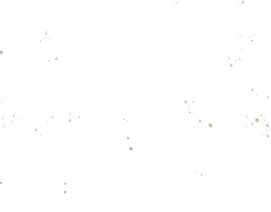 80.jpg