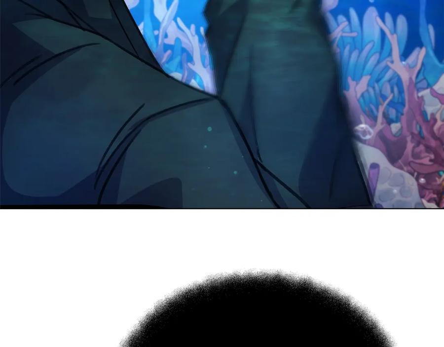 164.jpg