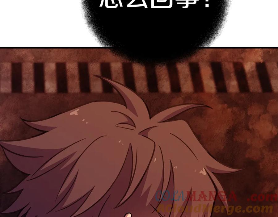 241.jpg