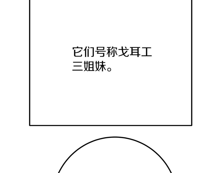 264.jpg