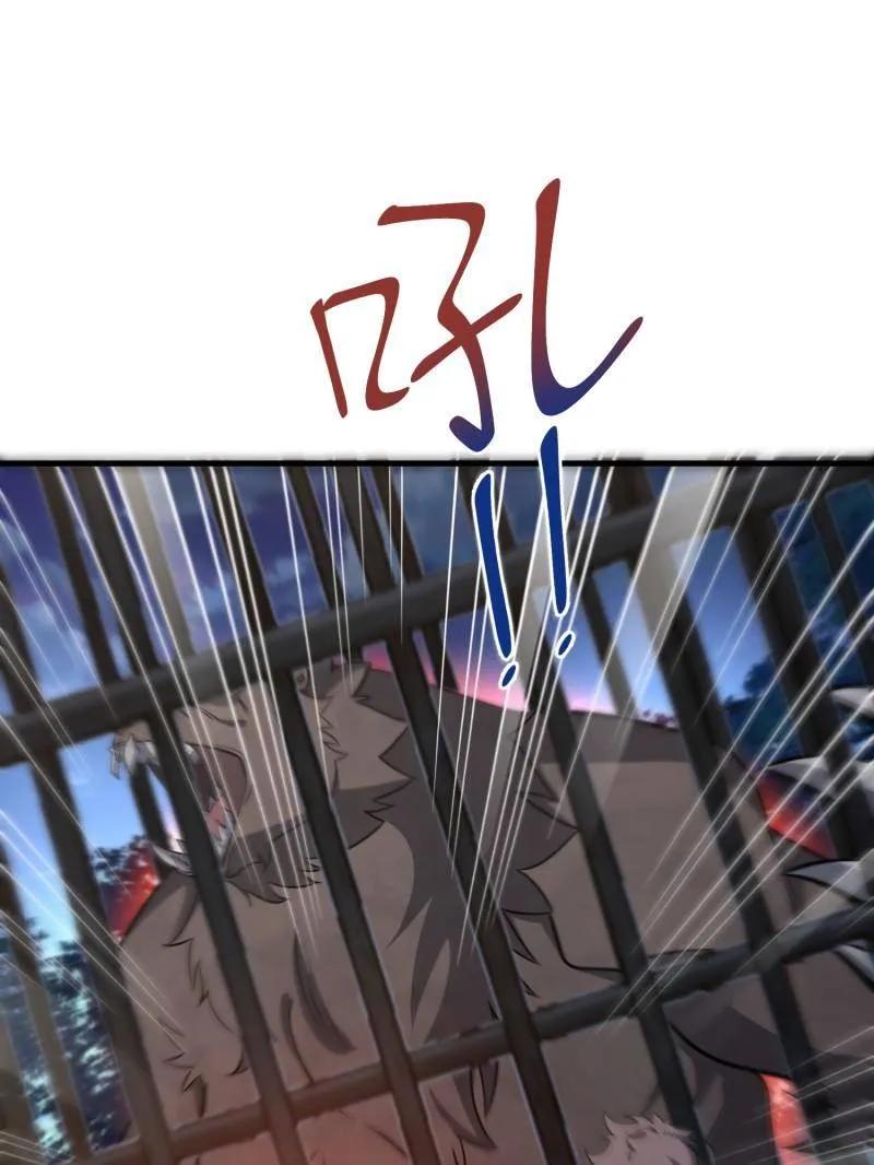 54.jpg