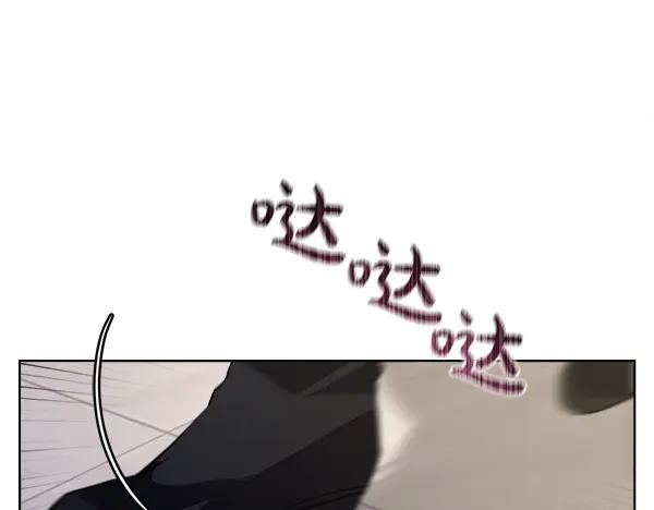 240.jpg