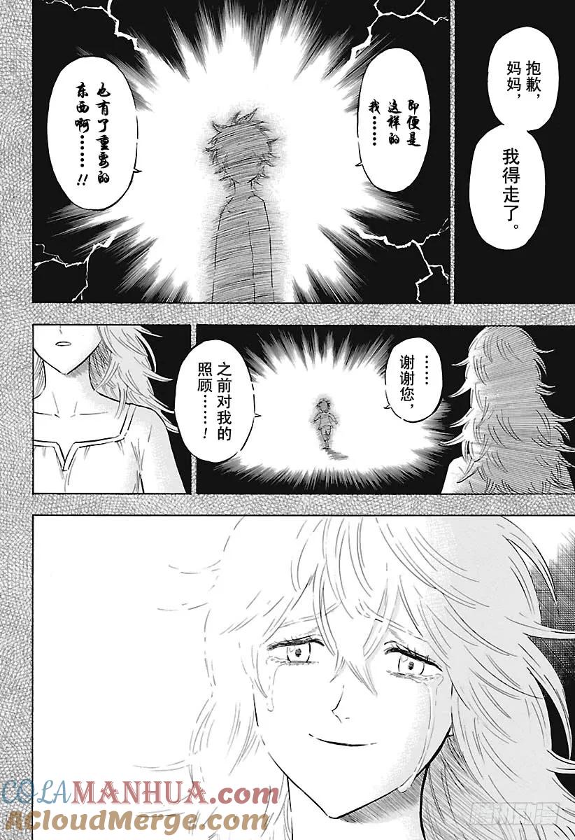 163-黑色四叶草-田畠裕基,集英社（第8张）