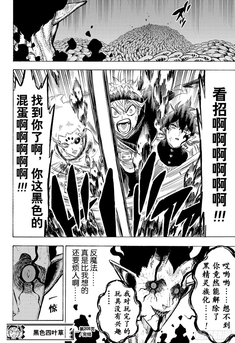 205500年的真相-黑色四叶草-田畠裕基,集英社（第14张）