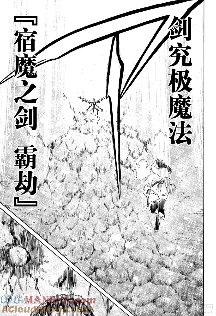 207究极魔法-黑色四叶草-田畠裕基,集英社（第11张）