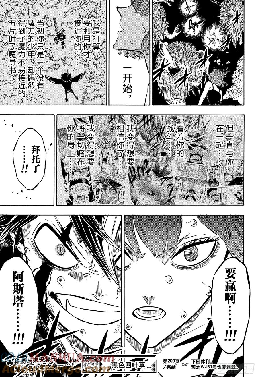 209-黑色四叶草-田畠裕基,集英社（第13张）