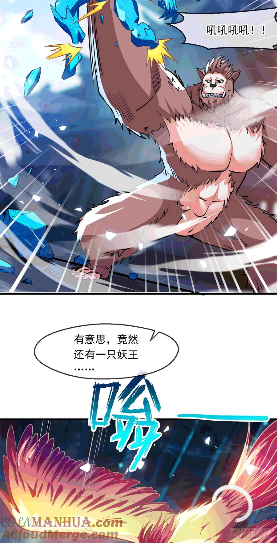 11.jpg