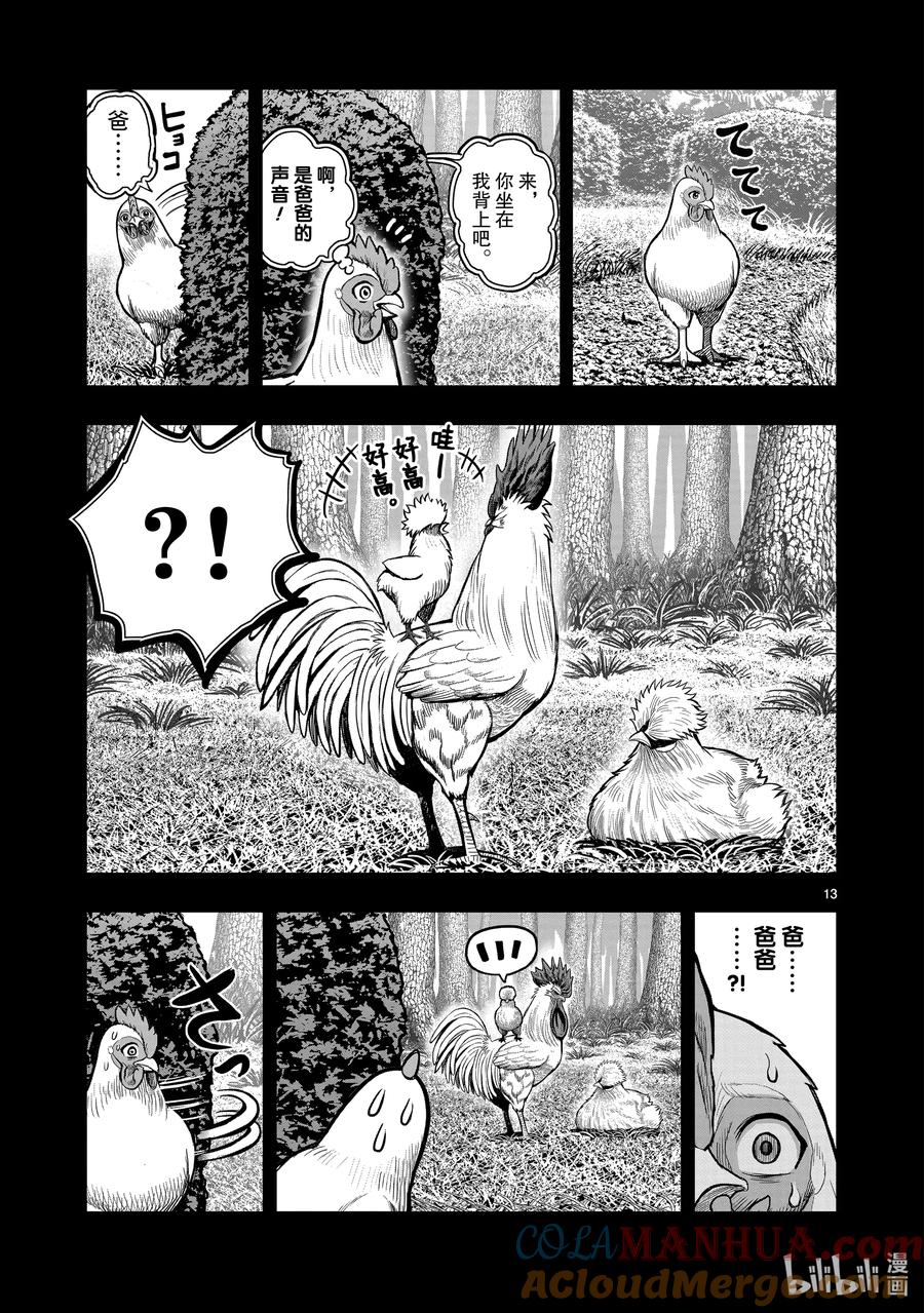 13.jpg