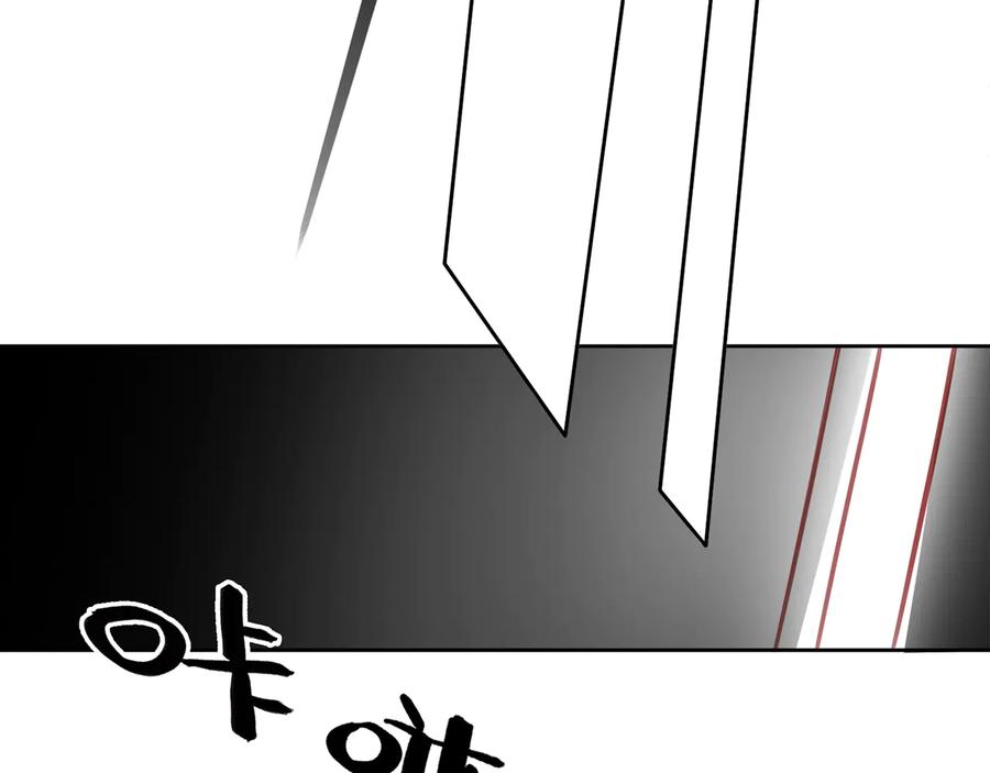 96.jpg
