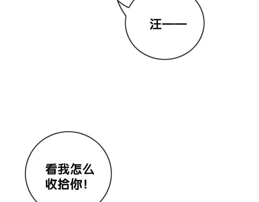 78.jpg
