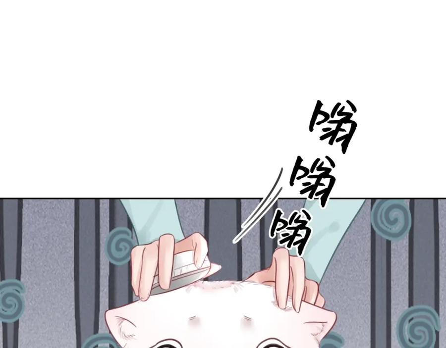 100.jpg