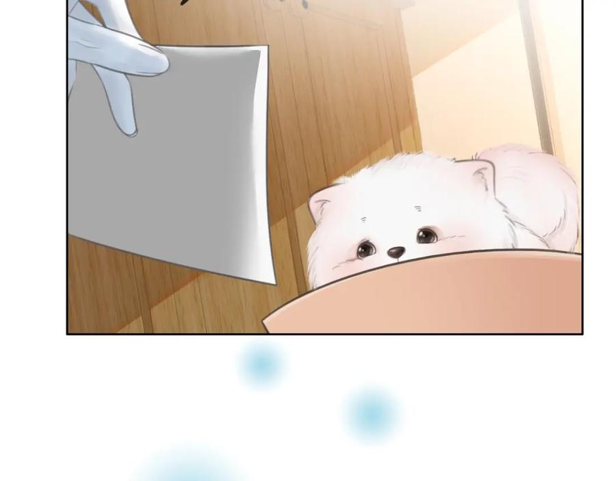 82.jpg