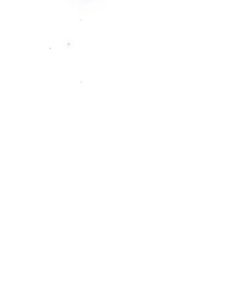 142.jpg