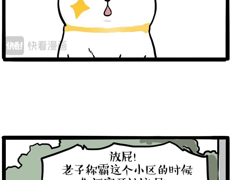 47.jpg