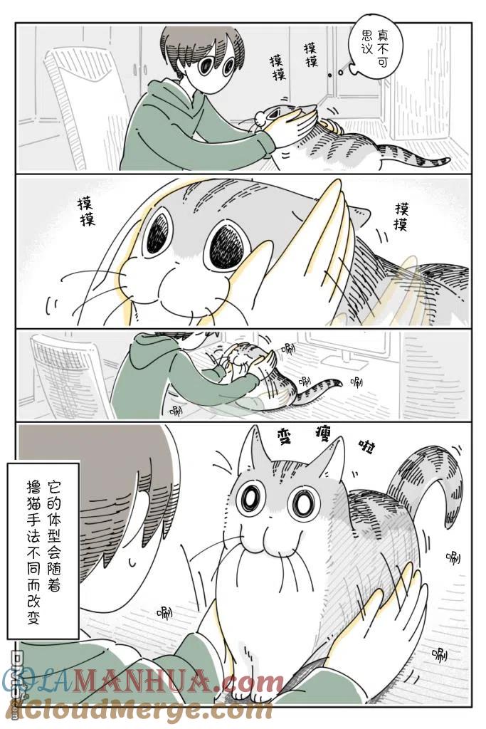 第97话-关于养猫我一直是新手-キュルZ（第2张）