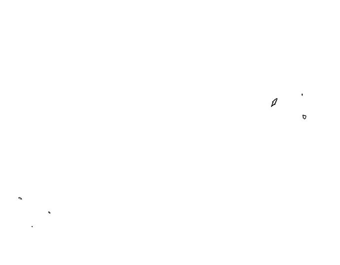 95.jpg