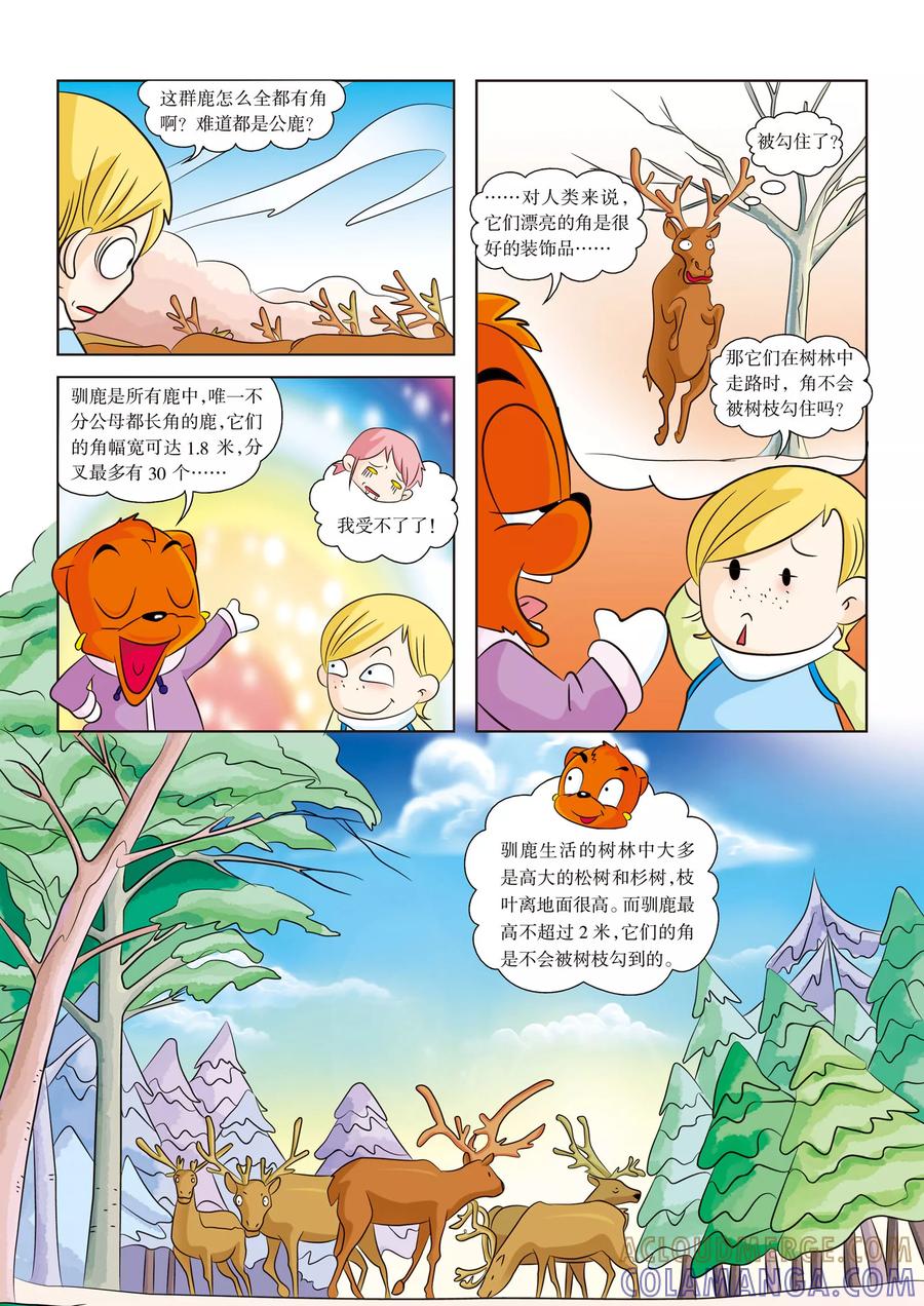 第6话捕捉驯鹿-虹猫蓝兔漫画科学探险之阿拉斯加历险记-虹猫蓝兔（第9张）