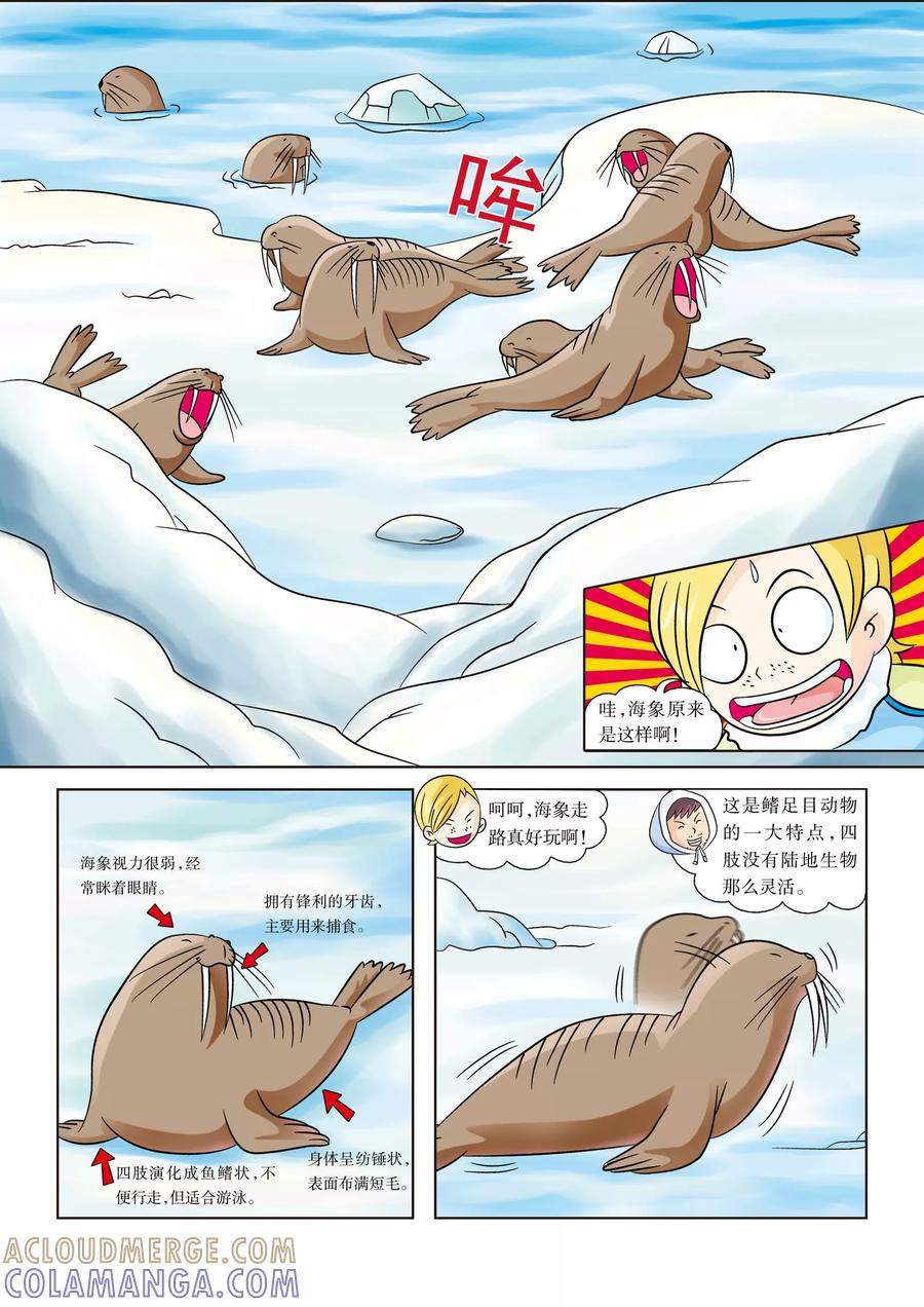 第9话北极海狩猎-虹猫蓝兔漫画科学探险之阿拉斯加历险记-虹猫蓝兔（第8张）