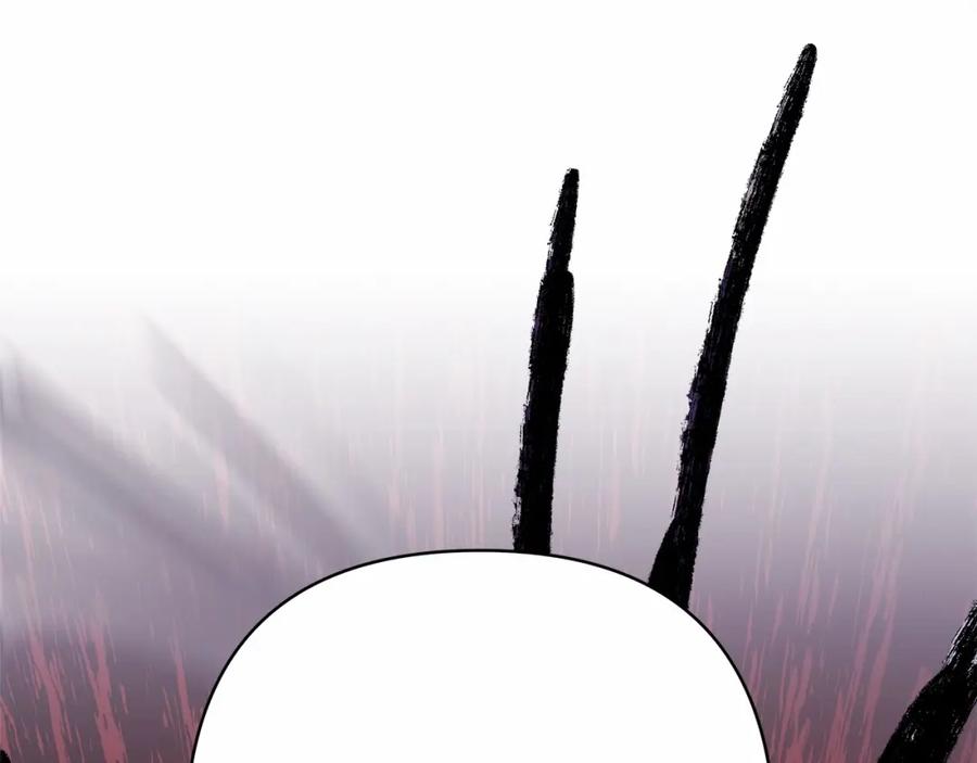 144.jpg