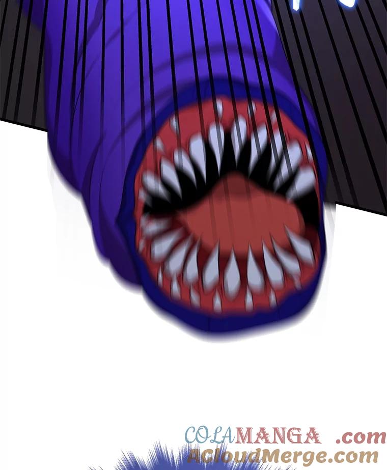 141.jpg