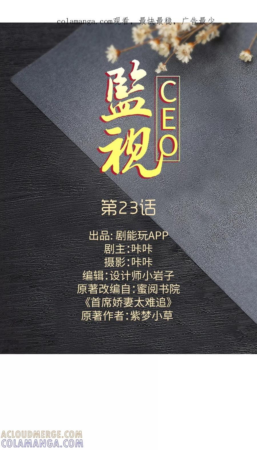 第23话-监视CEO-剧能玩（第1张）
