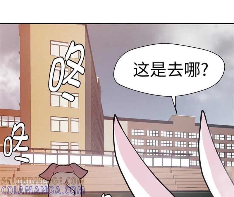 第90话你这只笨狗！-奇妙的动物高中-一漫文化（第10张）