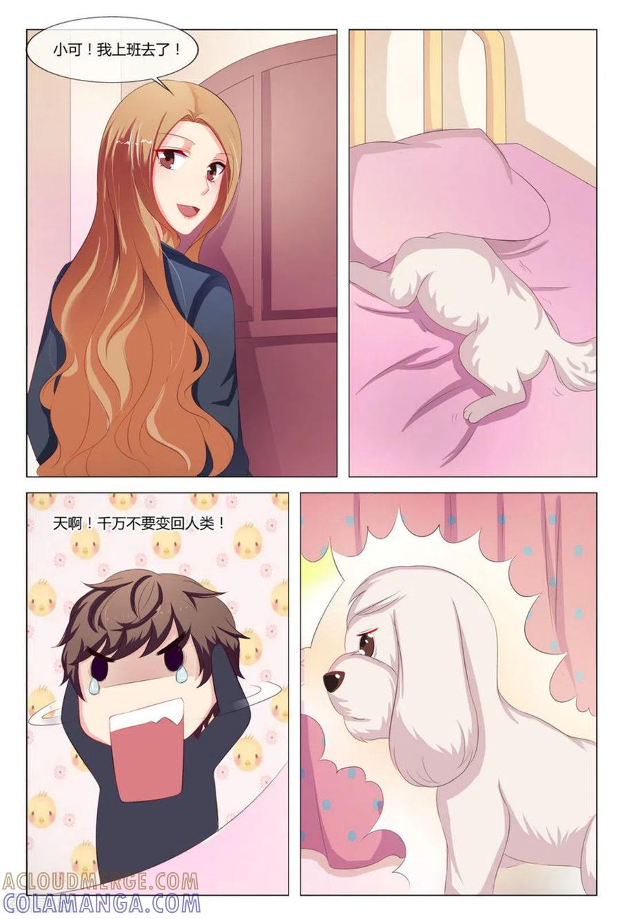 第11话-我的房东是泰迪-咪咕阅读（第7张）