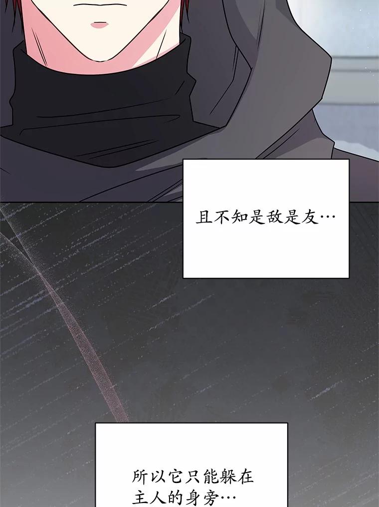 54.jpg
